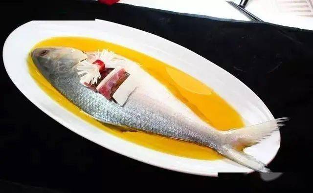 最昂贵的食用鱼类排行榜 鲥鱼