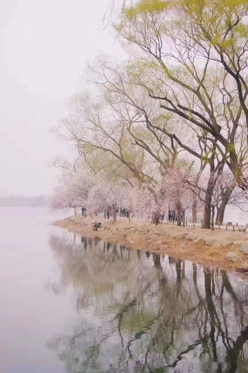 北京过年攻略 · 11家公园免费逛