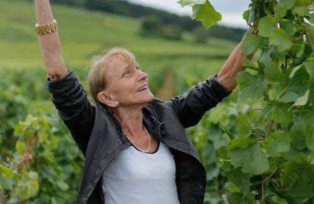 最后配额一级园勃艮第酒神的导师勒桦的前身价格惊人