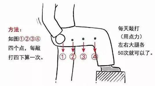 肝经经过大腿内侧