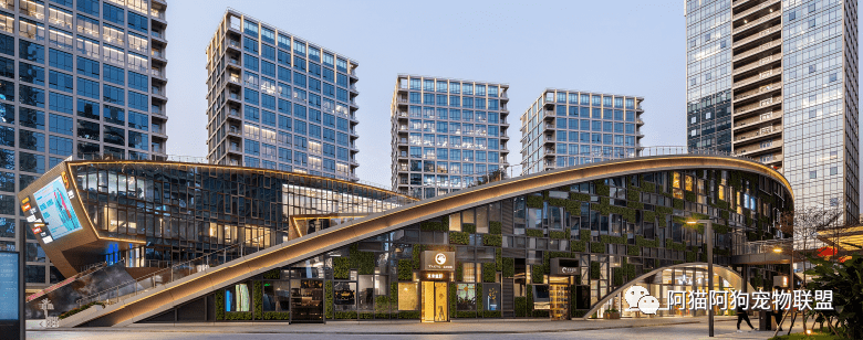 【阿猫阿狗】招募赞助商和集市摊位商家啦~南山侨城坊 福田安托山万科