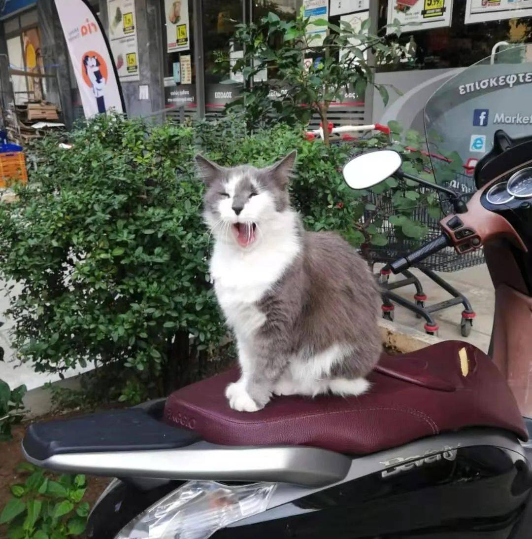 һλ�й���ѧ�������ŵ������:��豹���