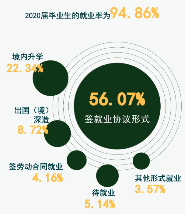 2020年毕业生就业质量报告 浙江大学 占比