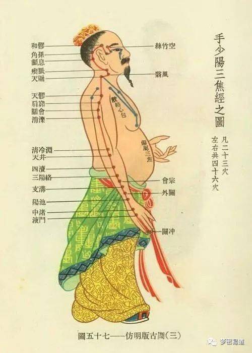 【睡百岁】经络养生:"子午流注之三焦经"-五脏六腑你知道是哪些吗?