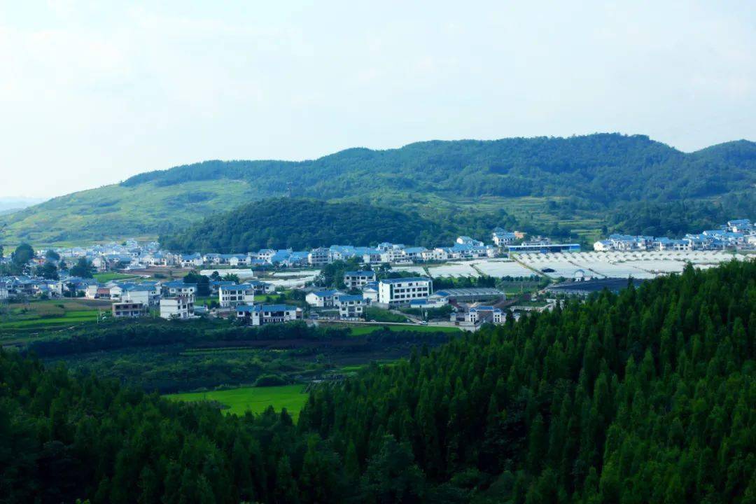 乡游黔中│走近清镇大冲村 邂逅悠闲浪漫时光