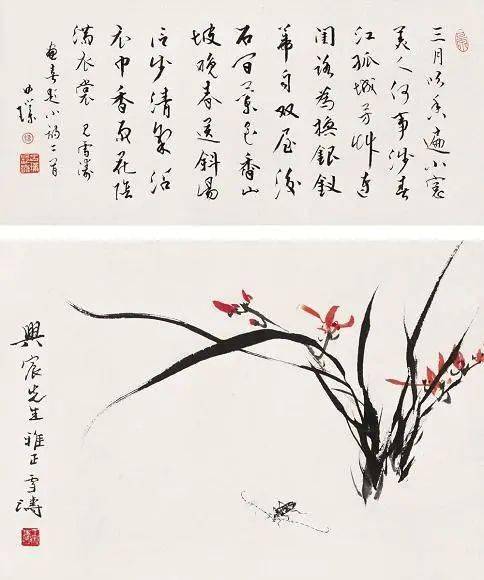 《兰花天牛》1935 年,白石又在雪涛摹白阳山人卷上书跋:"前朝白阳山人