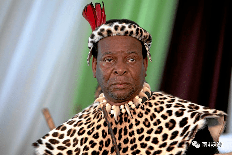 为治疗糖尿病 祖鲁王住进重症病房