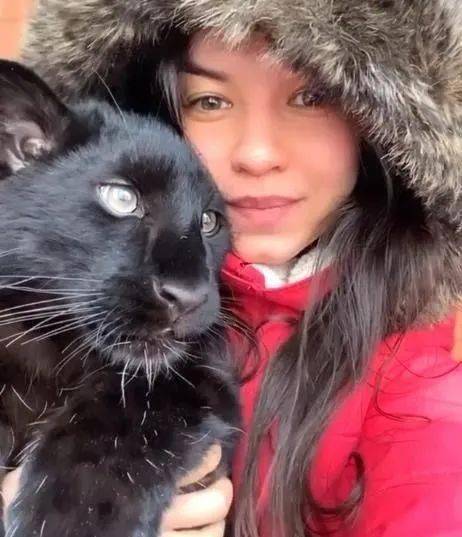 俄罗斯妹子养了只黑豹当宠物,又猛又萌啊!_露娜