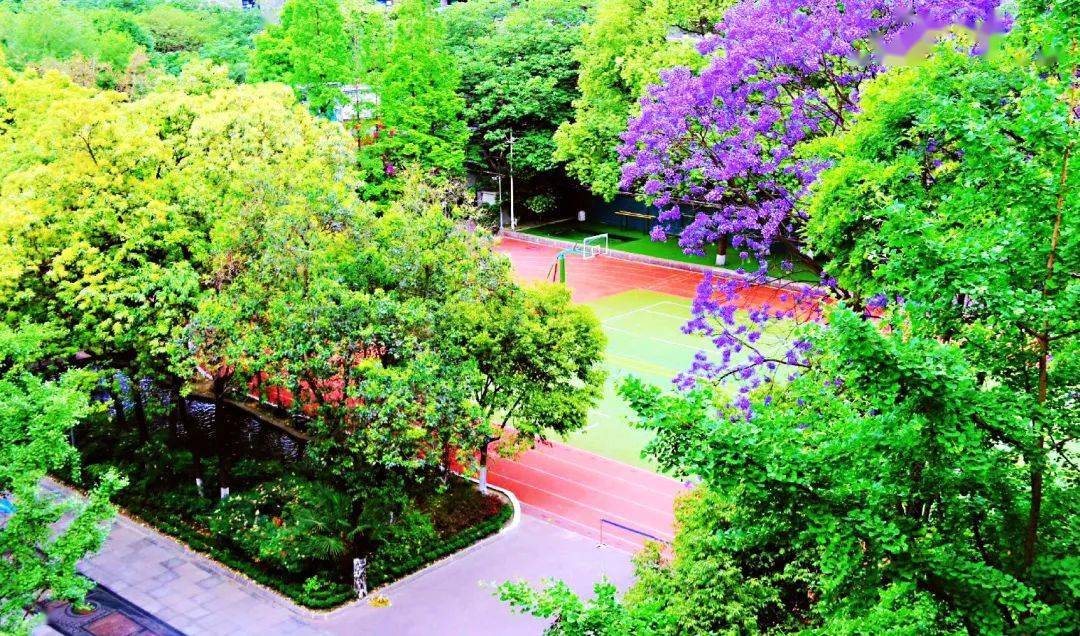 多彩时光育硕果砥砺奋进共筑梦成都七中育才学校水井坊校区全国文明