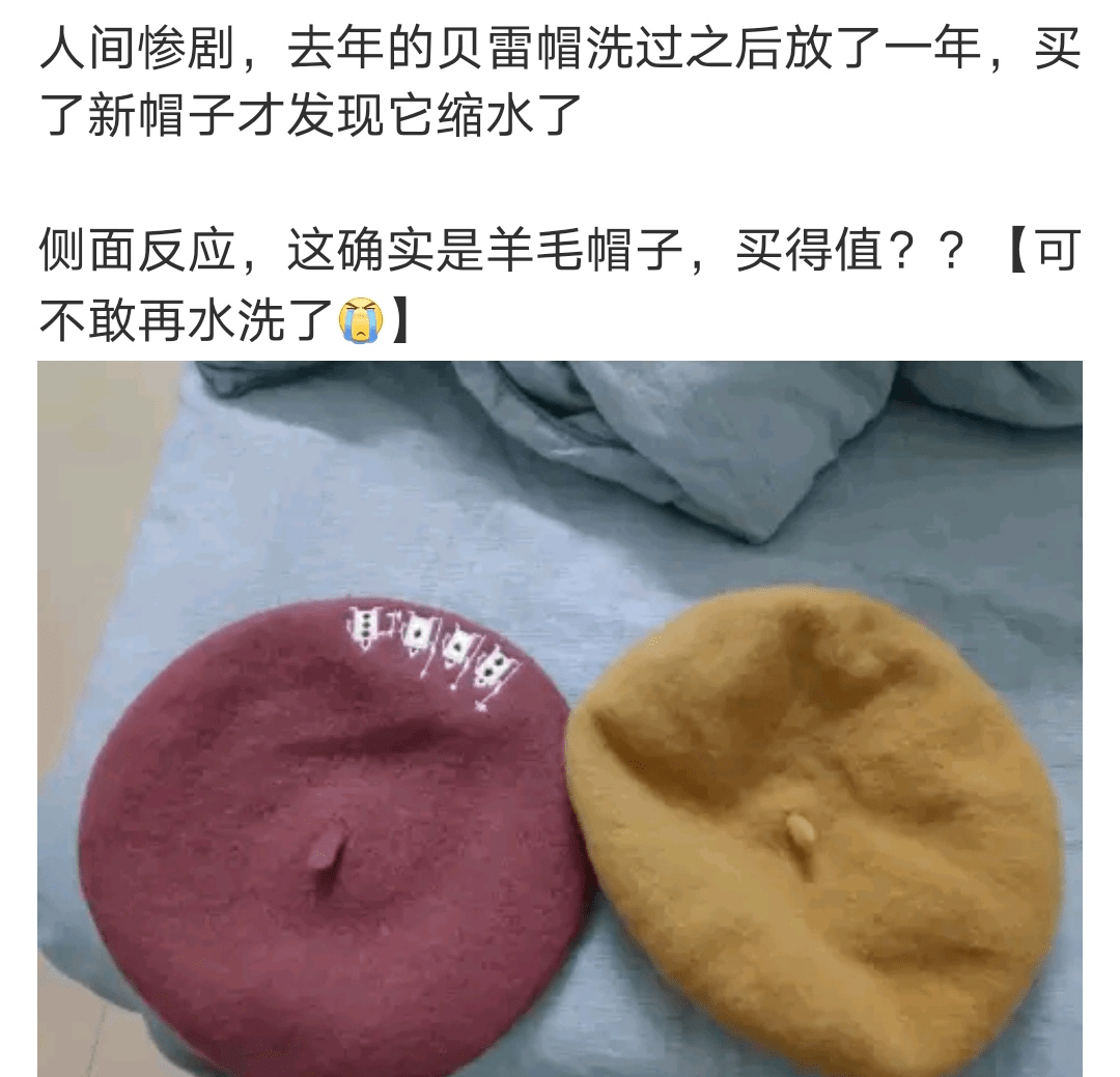 "3000块的羊绒衫,缩水缩得只能给狗穿了"_羊毛衫