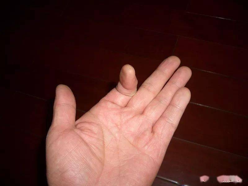 二胡初学者左手手指独立性训练的小方法