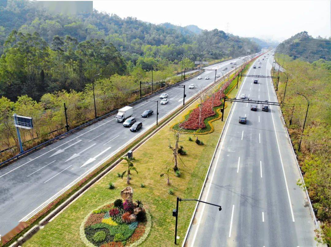 带衬托点缀辅以进口朱槿以朱蕉作为植物配置主体此次绿化提升改造设计