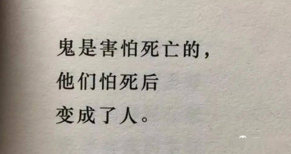 女诗人贾浅浅事件麦萨