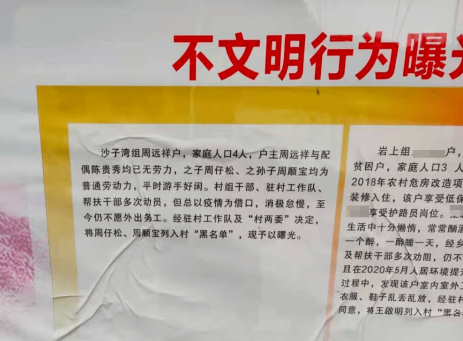 户主人口组_人口普查(3)