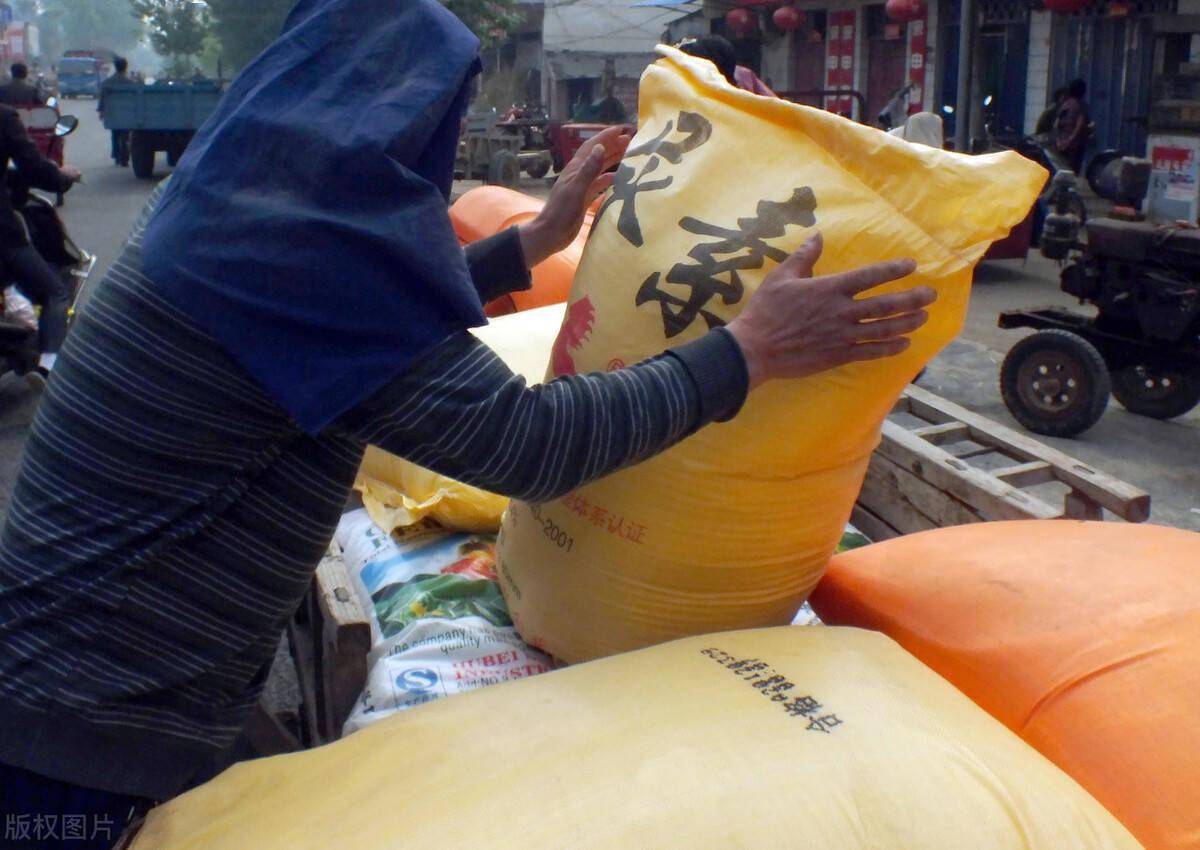 怎么用尿素喂牛?效益高,育肥快,这4个方法一定要掌握好