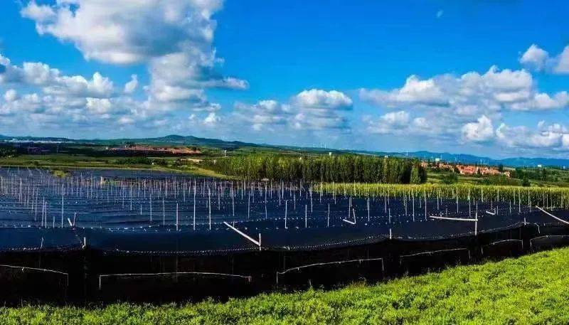 文登有多少人口_文登路口的风景(2)