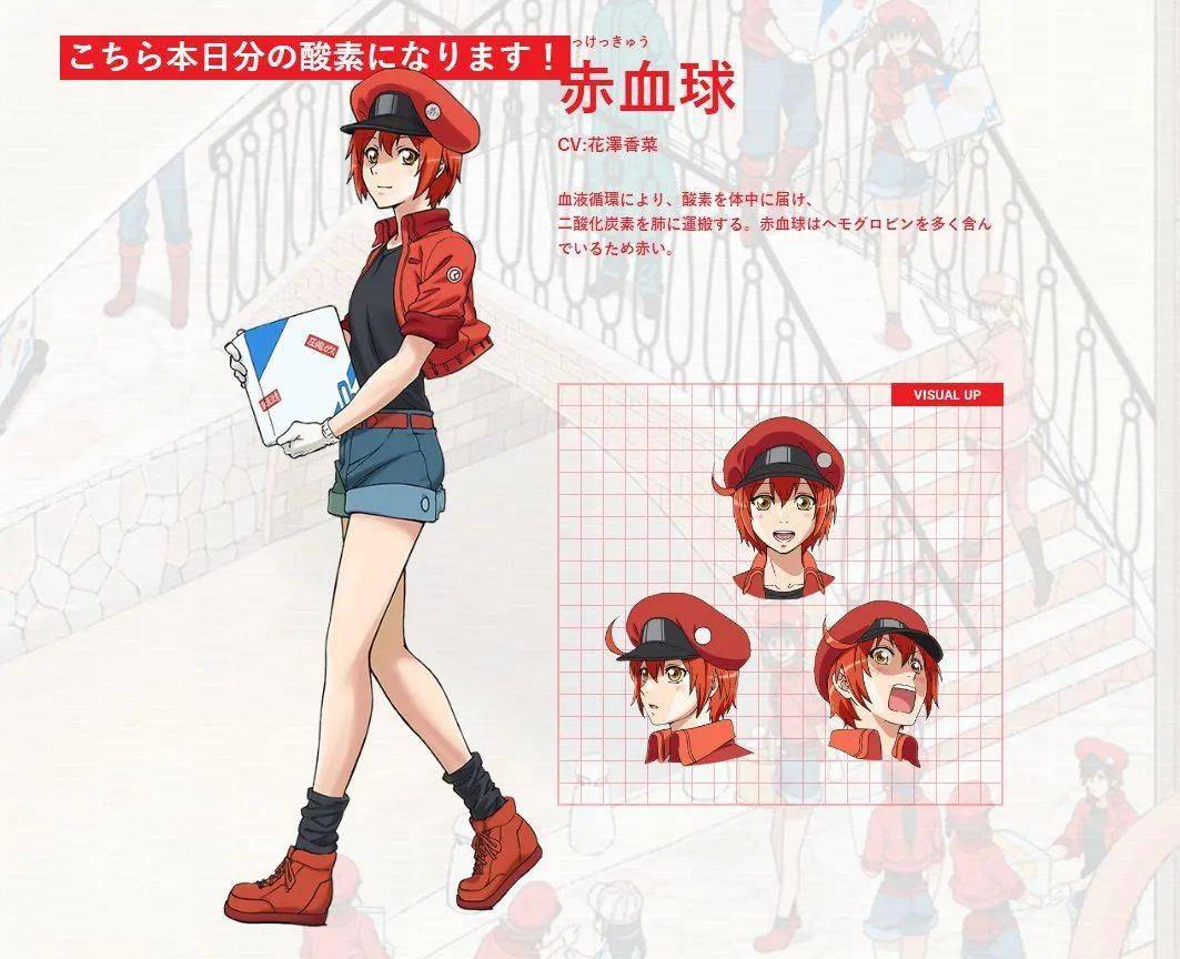 动画,《工作细胞》创意十足,将红细胞,白细胞,血小板等人体细胞拟人化