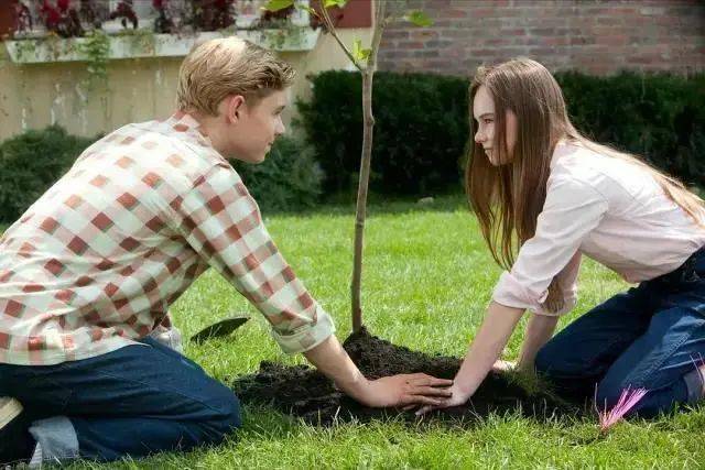 父亲是棵树电影 d375d040ea8941b49df3f8b6e5f03c2e.jpeg