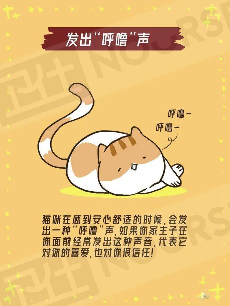 舒适感是什么意思啊 dd37b33d3b3e473fb8e110590b772f8f.jpeg