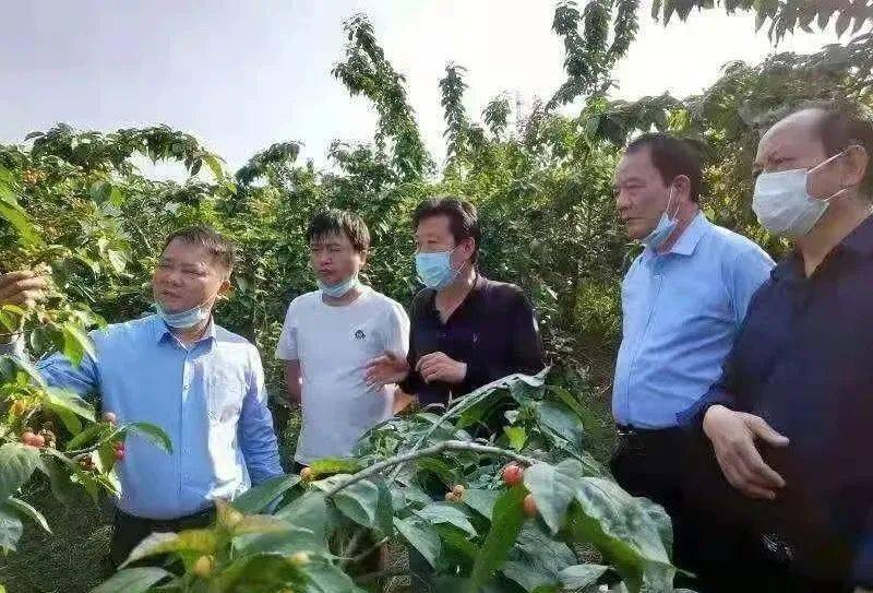 蔡甸此全国文明村发展有目共睹未来有何变化