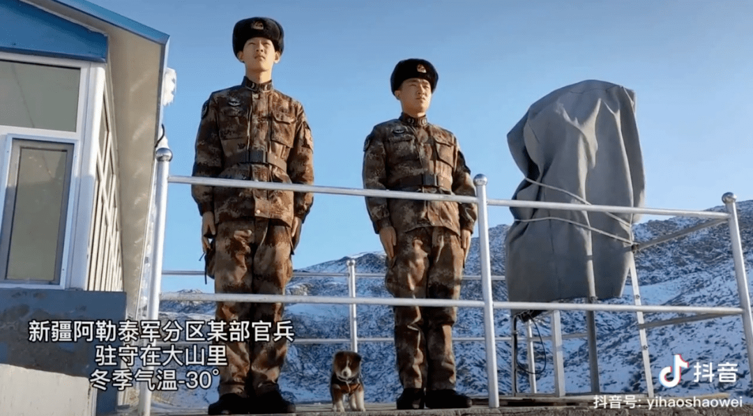 還記得那隻在雪地里被兵哥哥救了的小土狗「十八」嗎？現在它被寵上了天！ 萌趣萌寵 第20张