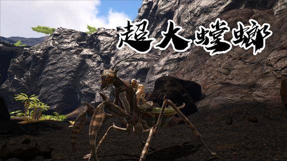 方舟生存进化222意外驯服超大螳螂实力竟能秒掉火焰飞龙