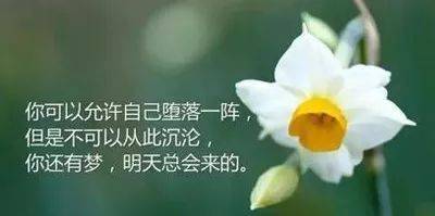 0c08226cdb2a4b78b4b279c8721b6542.jpeg