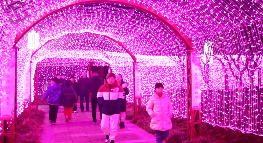 单县综合行政执法局精心实施亮化,喜迎新春佳节_公园