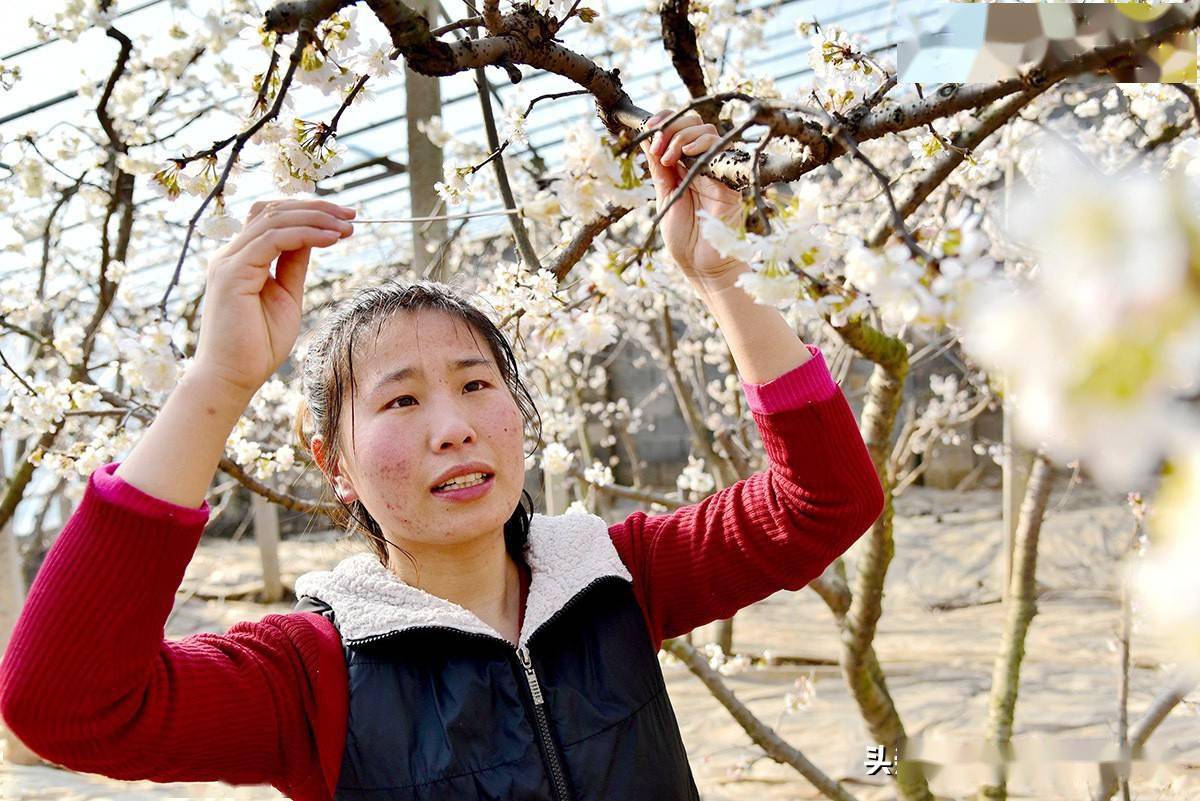 山東棗莊山亭區:留守婦女當