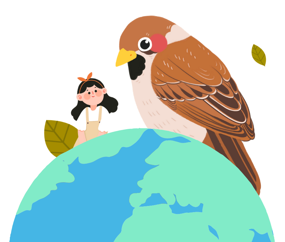 活动回顾守护十万候鸟悠悠户外小志愿者们在行动