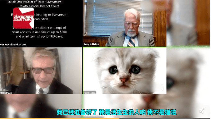 怎么让自己不打猫 d2d8a11b00ac4ca7837c8ae5ae3924e5.png