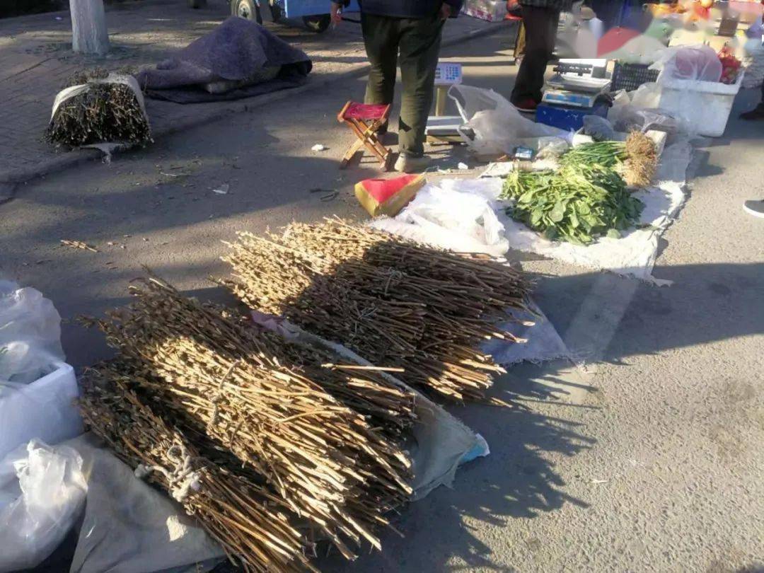 年味记忆厉剑童大年五更发芝麻