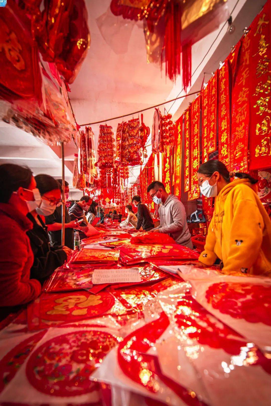 坦洲繁花似锦迎新春张灯结彩年味浓