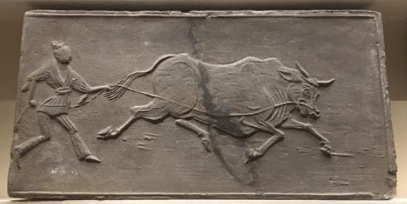 牛气冲天,藏在博物馆里的牛!