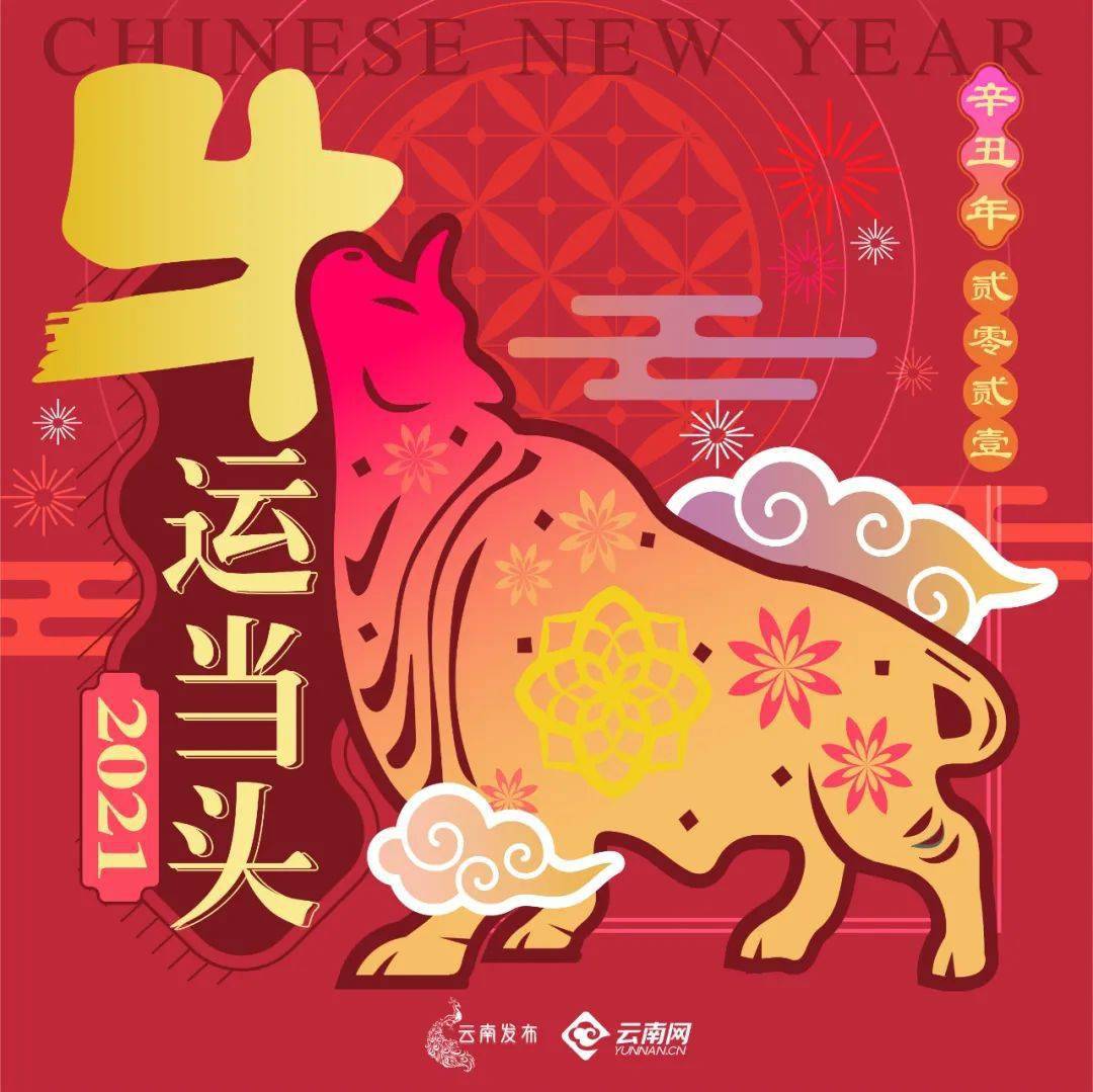 网络中国节春节happy牛year