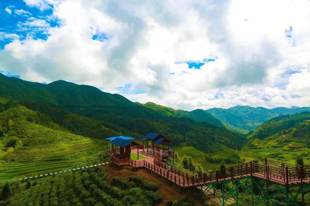 富宁将有大批人向这里去.