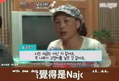 狗媽媽竟然生出了一隻貓寶寶，主人無比確定：是真的，不騙人！ 萌趣萌寵 第9张