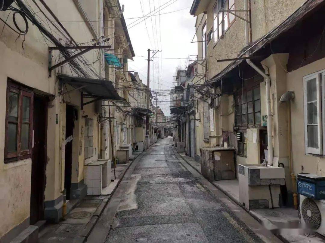 还戴着一朵小红花就这样孤独地看着空无一人的弄堂肇周路吉安路口的