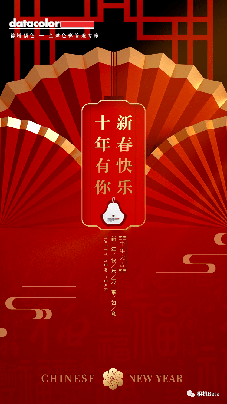 新年新气象 德塔决定改名字啦 Spyder