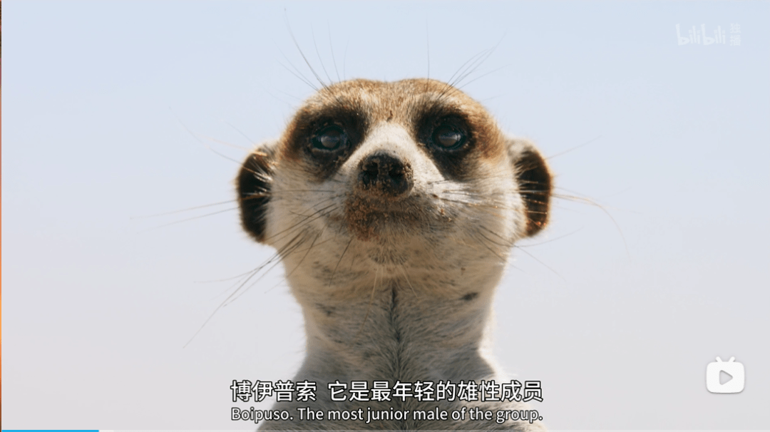 eccf6cb074b9469881452b956fb47955.png