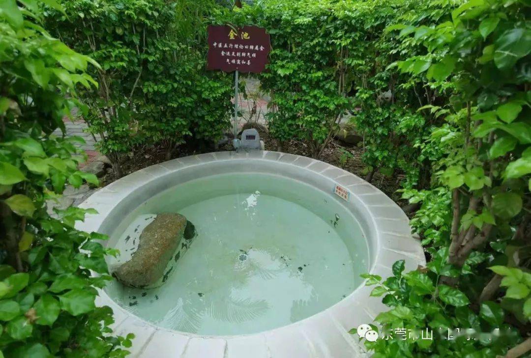 粤东九寨沟八乡山大峡谷汤坑温泉陆河螺溪谷3天游纯玩