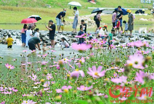 春节假期前3日，广东150家重点景区共接待游客433.4万人次