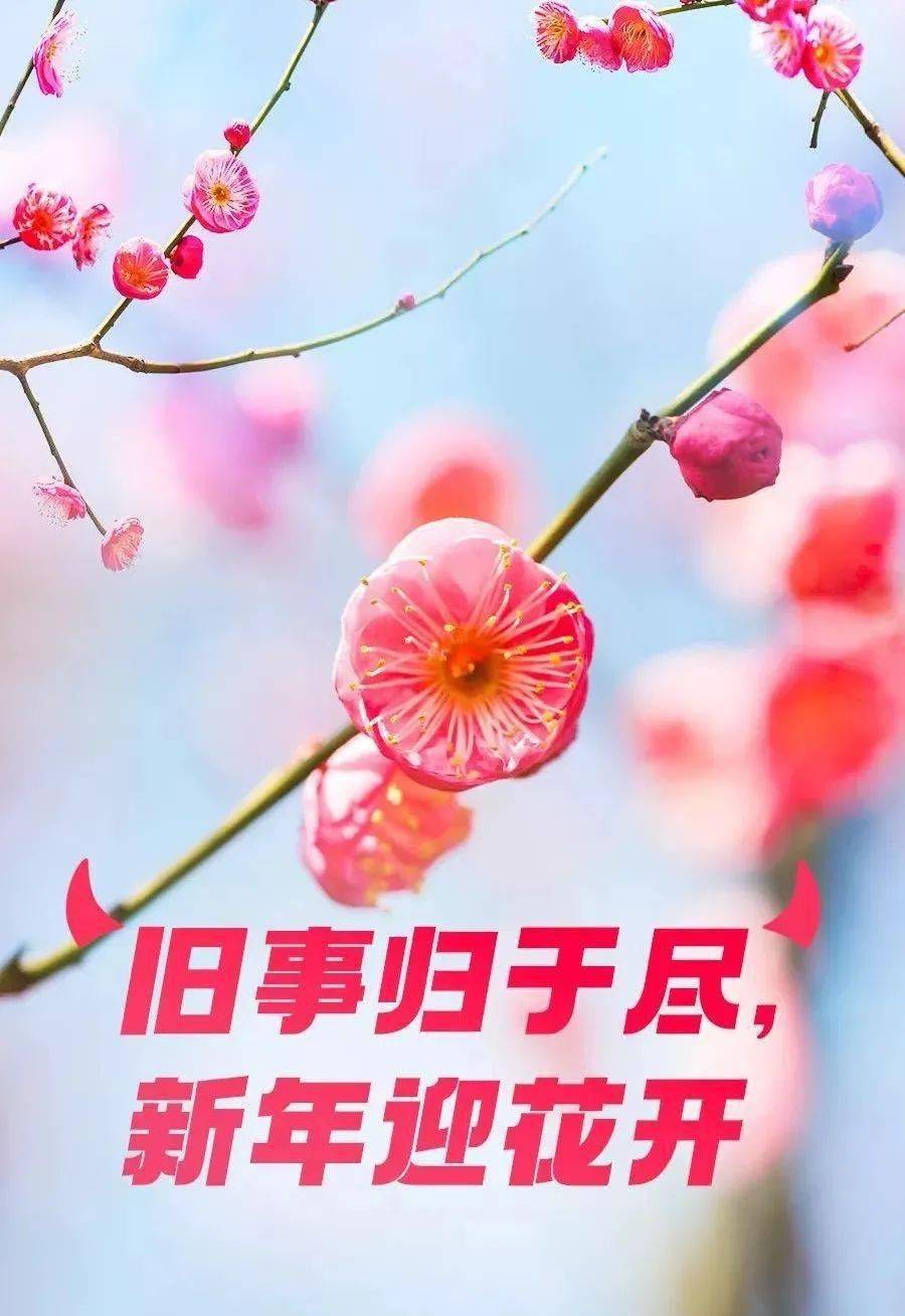 1b1853106ac844e69ed5e7f58e8c5968.jpeg