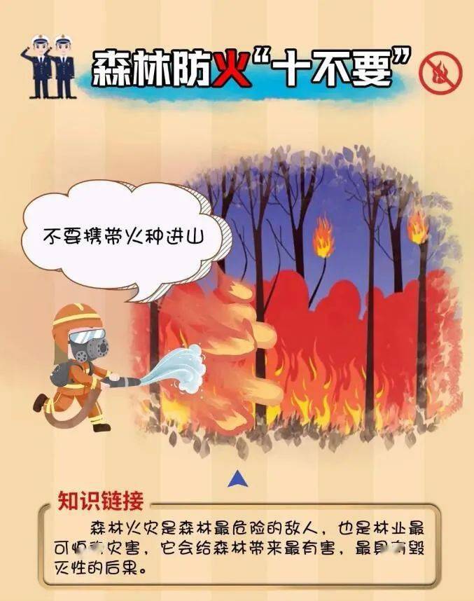 春节人口流量_阿里流量人口
