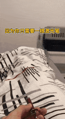 原來養只貓居然能這麼好用哈哈哈哈！ 萌趣萌寵 第1张