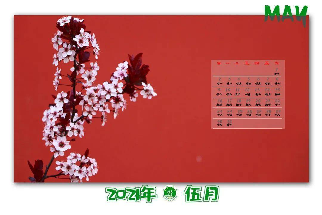 2021齐河gdp_齐河2021套圈(2)