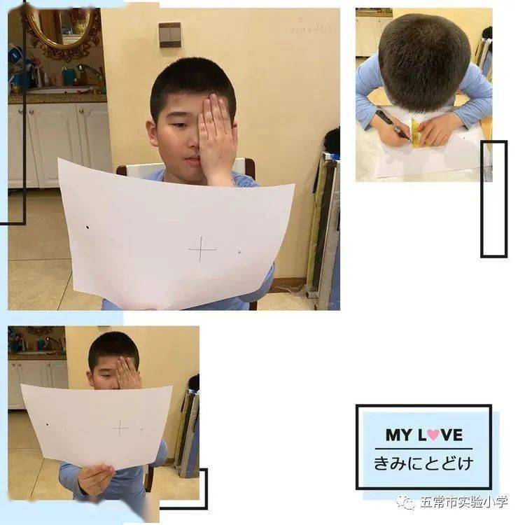 科创课程四年六班一月份科学小实验集锦