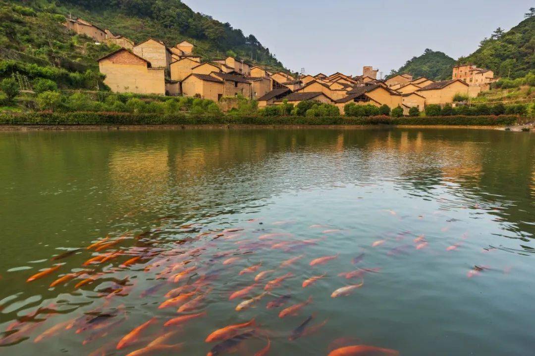 胜 摄陈峭生态旅游小镇位于周宁县西南部的礼门乡,境内山峦叠翠,峰崖