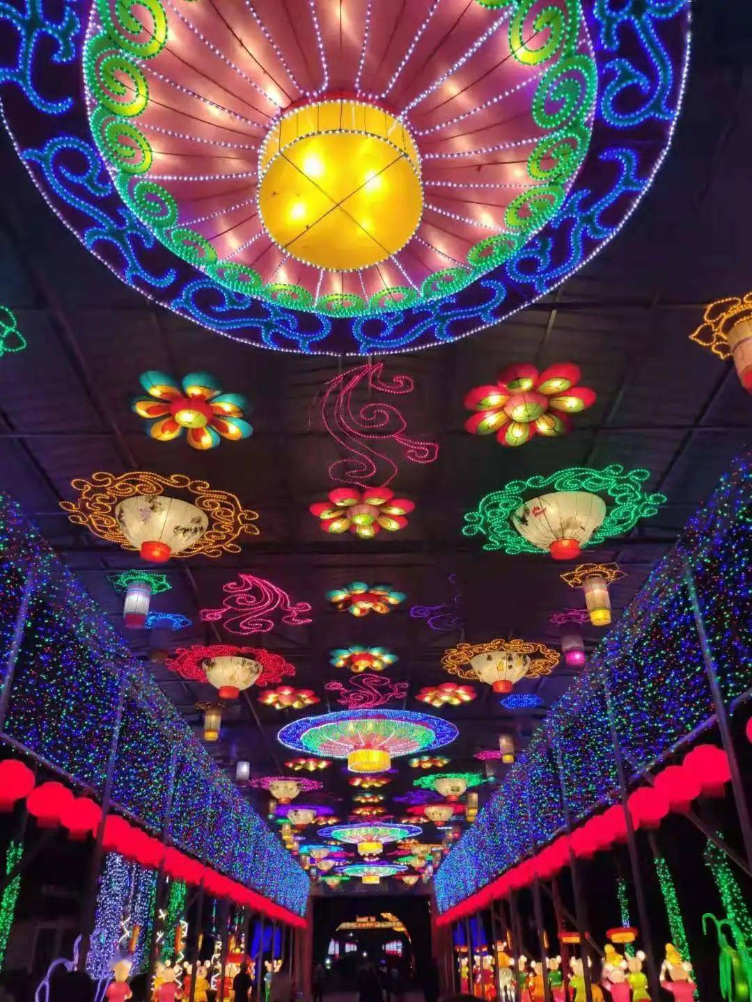 牛年年味不打折都在用自己的方式庆祝牛年到来每个科大人不管你是选择