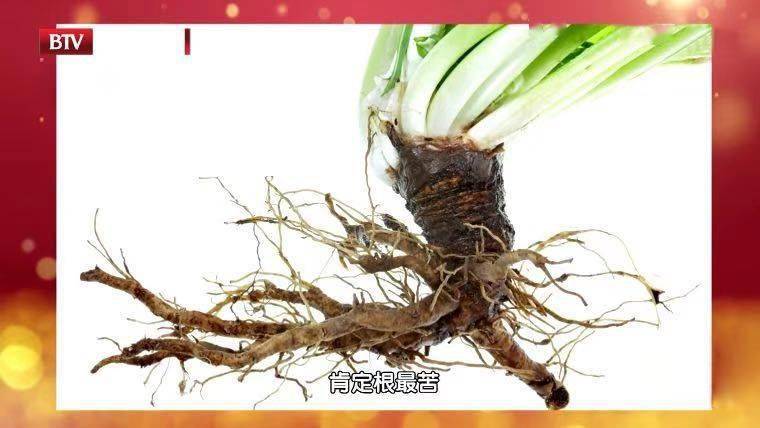 蒲公英根,叶,功效差异 1 根 :养肝护胃 蒲公英根含有丰富的营养物质